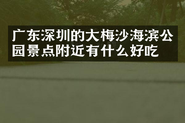 广东深圳的大梅沙海滨公园景点附近有什么好吃的