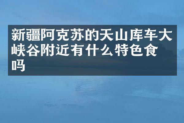 新疆阿克苏的天山库车大峡谷附近有什么特色食物吗