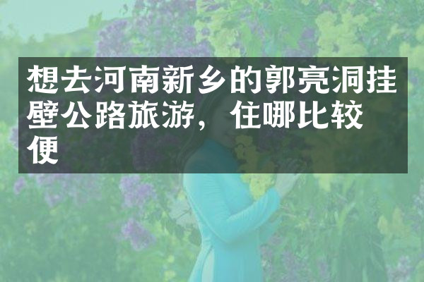 想去河南新乡的郭亮洞挂壁公路旅游，住哪比较方便
