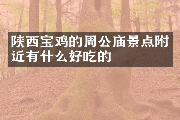 陕西宝鸡的周公庙景点附近有什么好吃的