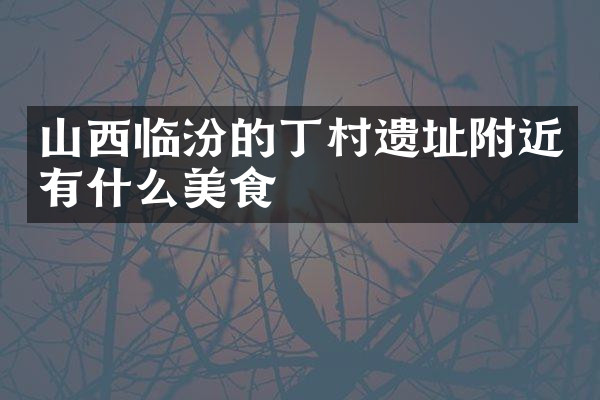 山西临汾的丁村遗址附近有什么美食