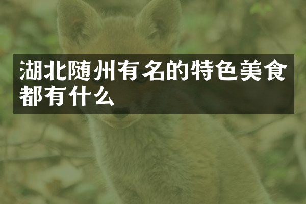 湖北随州有名的特色美食都有什么