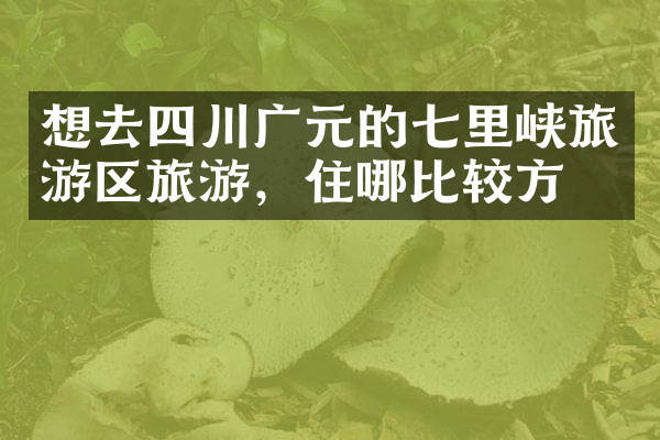 想去四川广元的七里峡旅游区旅游，住哪比较方便