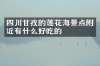 四川甘孜的莲花海景点附近有什么好吃的