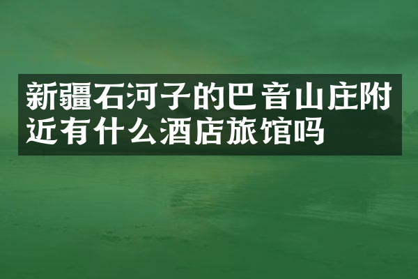 新疆石河子的巴音山庄附近有什么酒店旅馆吗