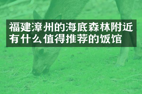 福建漳州的海底森林附近有什么值得推荐的饭馆吗
