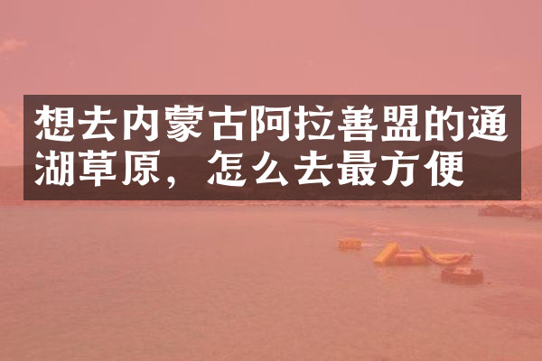 想去内蒙古阿拉善盟的通湖草原，怎么去最方便