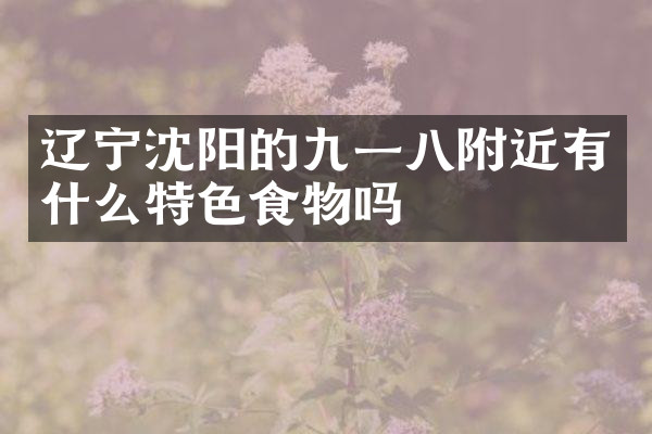 辽宁沈阳的九一八附近有什么特色食物吗