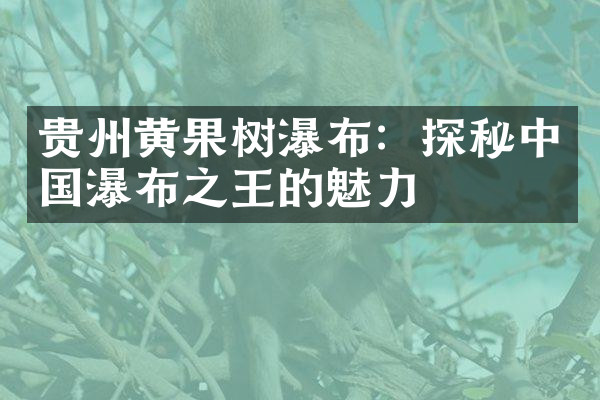 贵州黄果树瀑布：探秘中国瀑布之王的魅力