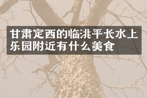 甘肃定西的临洮平长水上乐园附近有什么美食