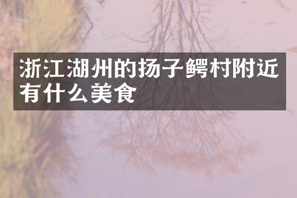 浙江湖州的扬子鳄村附近有什么美食