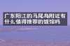 广东阳江的马尾岛附近有什么值得推荐的饭馆吗