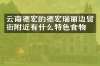 云南德宏的德宏瑞丽边贸街附近有什么特色食物吗