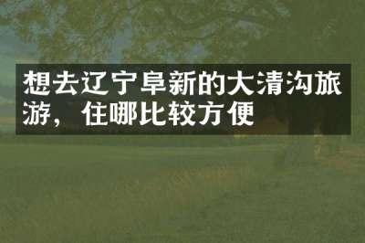 想去辽宁阜新的大清沟旅游，住哪比较方便