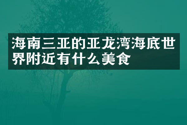 海南三亚的亚龙湾海底世界附近有什么美食