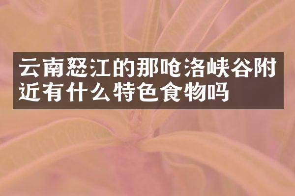 云南怒江的那呛洛峡谷附近有什么特色食物吗