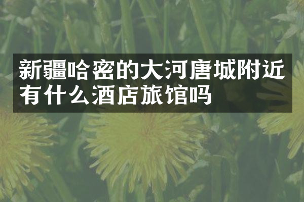 新疆哈密的大河唐城附近有什么酒店旅馆吗
