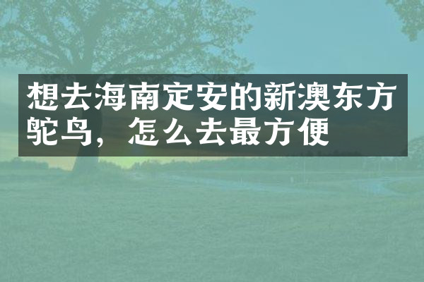 想去海南定安的新澳东方鸵鸟，怎么去最方便