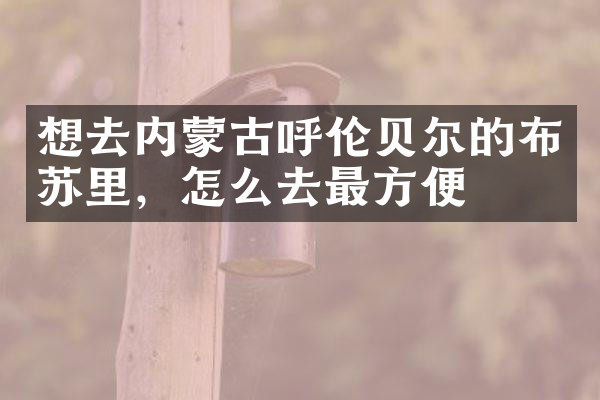 想去内蒙古呼伦贝尔的布苏里，怎么去最方便