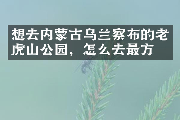 想去内蒙古乌兰察布的老虎山公园，怎么去最方便