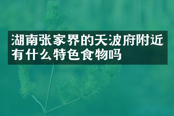 湖南张家界的天波府附近有什么特色食物吗