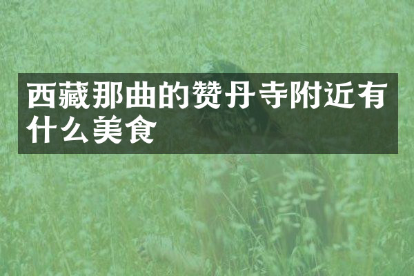 西藏那曲的赞丹寺附近有什么美食