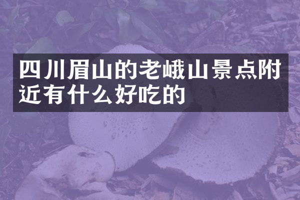 四川眉山的老峨山景点附近有什么好吃的