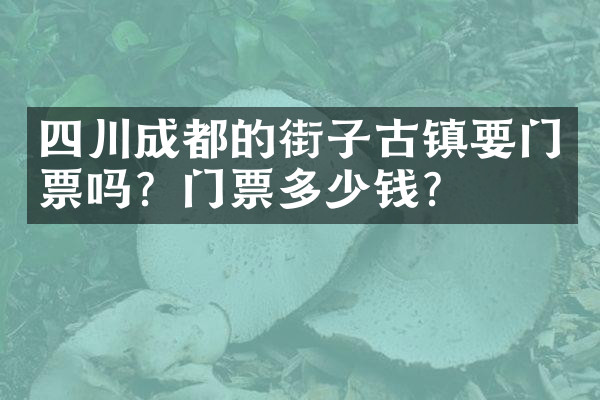 四川成都的街子古镇要门票吗？门票多少钱？