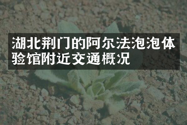 湖北荆门的阿尔法泡泡体验馆附近交通概况