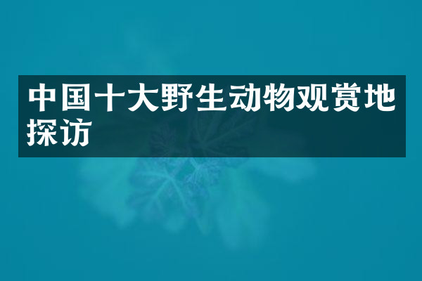 中国十大野生动物观赏地探访