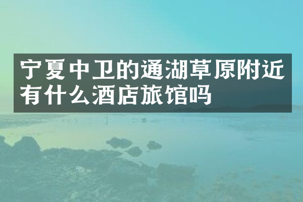 宁夏中卫的通湖草原附近有什么酒店旅馆吗