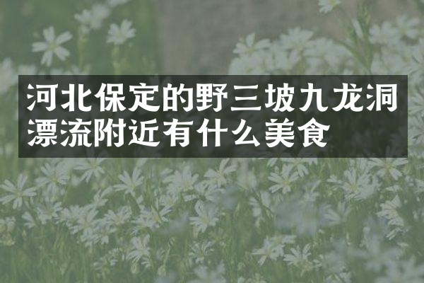 河北保定的野三坡九龙洞漂流附近有什么美食