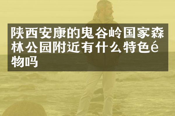 陕西安康的鬼谷岭国家森林公园附近有什么特色食物吗