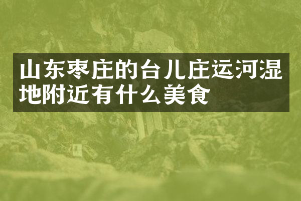 山东枣庄的台儿庄运河湿地附近有什么美食