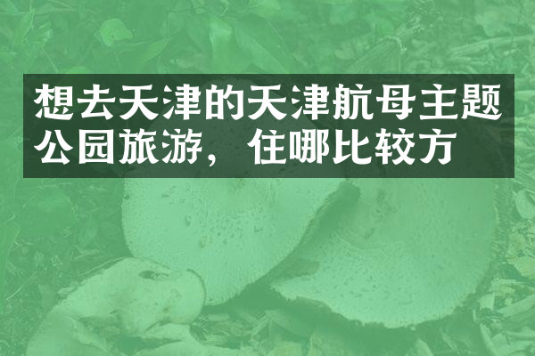 想去天津的天津航母主题公园旅游，住哪比较方便