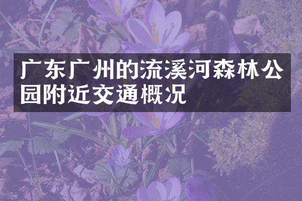 广东广州的流溪河森林公园附近交通概况