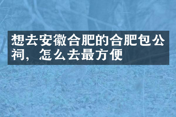想去安徽合肥的合肥包公祠，怎么去最方便