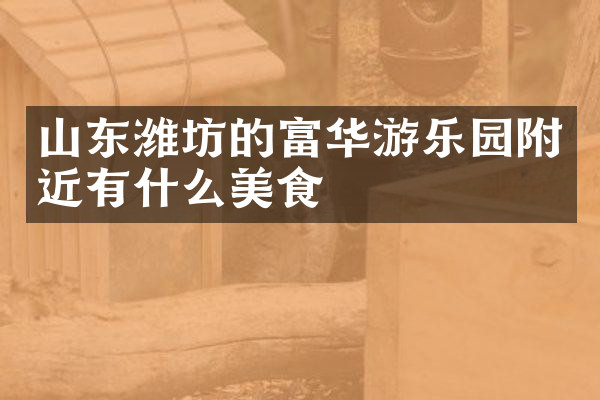 山东潍坊的富华游乐园附近有什么美食