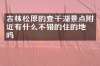 吉林松原的查干湖景点附近有什么不错的住的地方吗