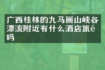 广西桂林的九马画山峡谷漂流附近有什么酒店旅馆吗