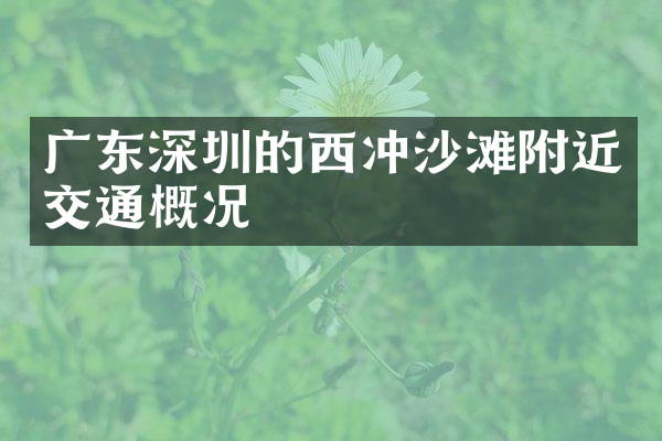 广东深圳的西冲沙滩附近交通概况