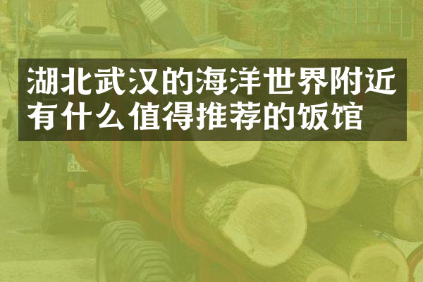湖北武汉的海洋世界附近有什么值得推荐的饭馆吗