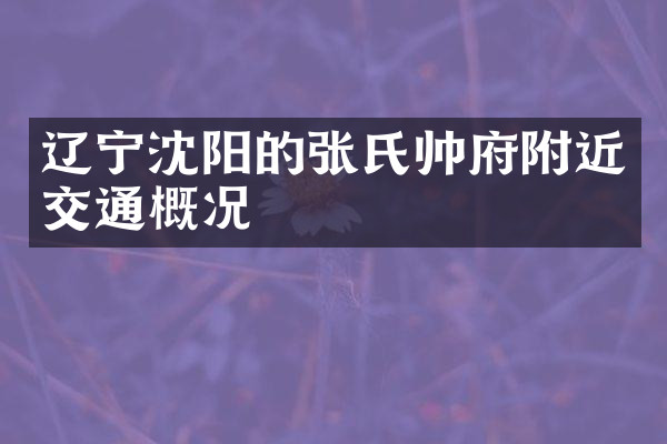 辽宁沈阳的张氏帅府附近交通概况