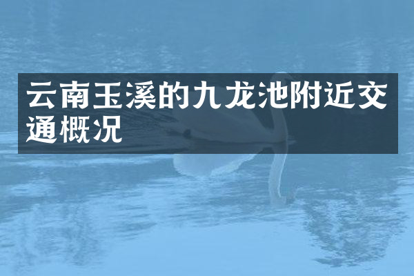 云南玉溪的九龙池附近交通概况