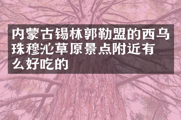 内蒙古锡林郭勒盟的西乌珠穆沁草原景点附近有什么好吃的