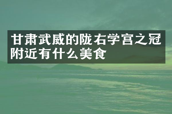 甘肃武威的陇右学宫之冠附近有什么美食