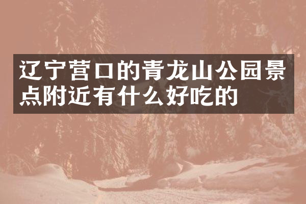 辽宁营口的青龙山公园景点附近有什么好吃的