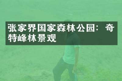 张家界国家森林公园：奇特峰林景观