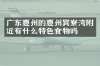 广东惠州的惠州巽寮湾附近有什么特色食物吗