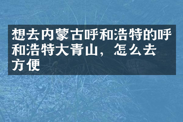 想去内蒙古呼和浩特的呼和浩特大青山，怎么去最方便
